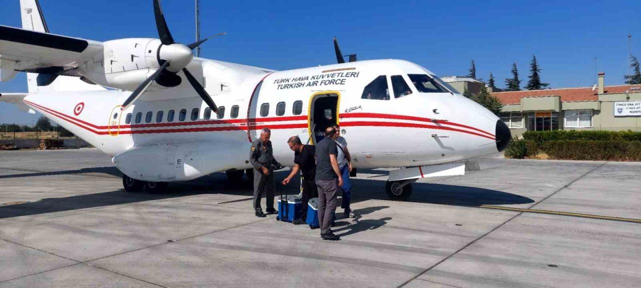 Geçirdiği trafik kazasında hayatını kaybeden AK Parti Sinop Ayancık Gençlik