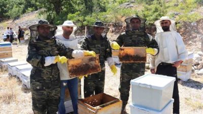 Erzincan’ın Kemah ilçesinde geniş ve zengin bitki örtüsüne sahip yaylalarda