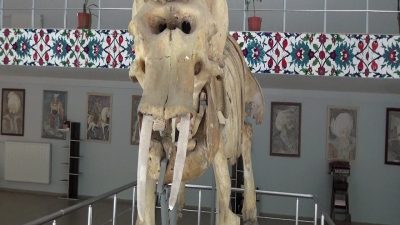 Erzincan’ın Kemaliye ilçesinde bulunan Prof. Dr. Ali Demirsoy Doğa Tarihi