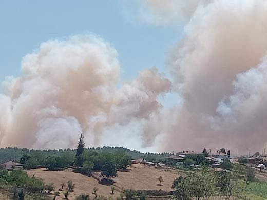 Kocaeli’nin Karamürsel ilçesinde orman yangını başladı. Bölgeye çok sayıda itfaiye