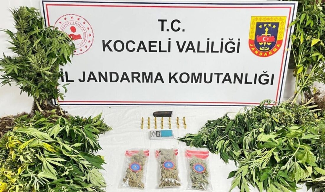 Kocaeli’de jandarma ekiplerince 3 ilçede düzenlenen uyuşturucu operasyonlarında 343 sentetik