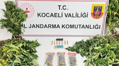 Kocaeli’de jandarma ekiplerince 3 ilçede düzenlenen uyuşturucu operasyonlarında 343 sentetik