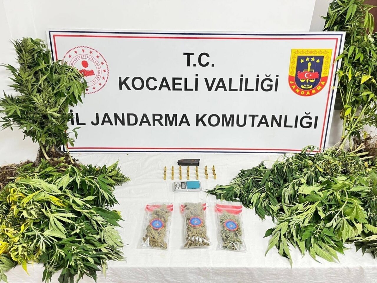 Kocaeli’de jandarma ekiplerince 3 ilçede düzenlenen uyuşturucu operasyonlarında 343 sentetik