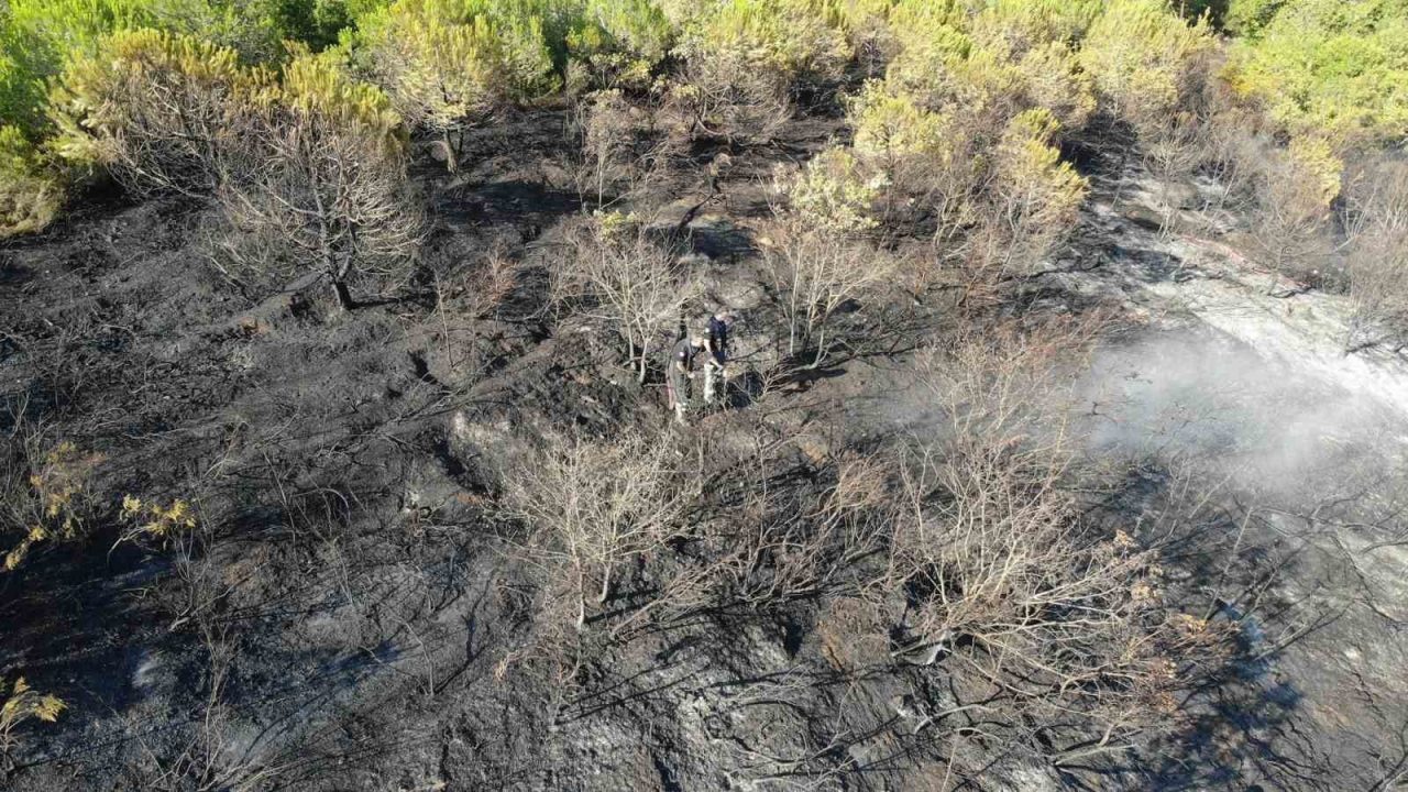 Kocaeli’nin İzmit ilçesinde ormanlık alanda çıkan yangın, itfaiye ekiplerinin hızlı