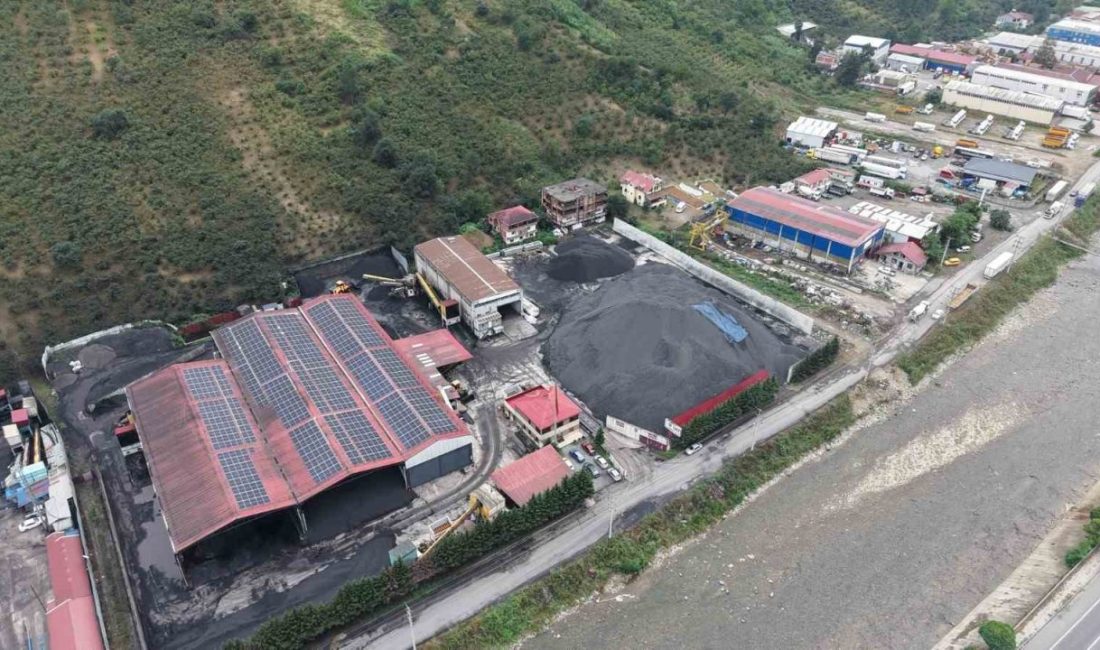 Trabzon’un Ortahisar ilçesinde bir kömür işletmesinin neden olduğu çevre kirliliği,