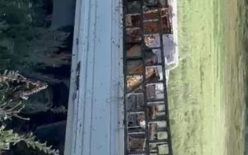 Ardahan’da arı kovanı taşıyan kamyonet Yalnızçam köyü yolunda devrildi. Kazada