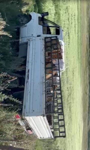 Ardahan’da arı kovanı taşıyan kamyonet Yalnızçam köyü yolunda devrildi. Kazada