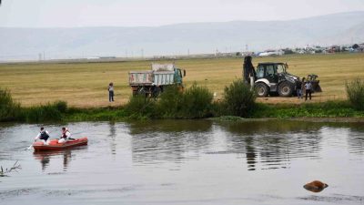 Ardahan’da Kura nehri kıyısında dolaşan vatandaşlar, nehirde yüzen ineğin cansız