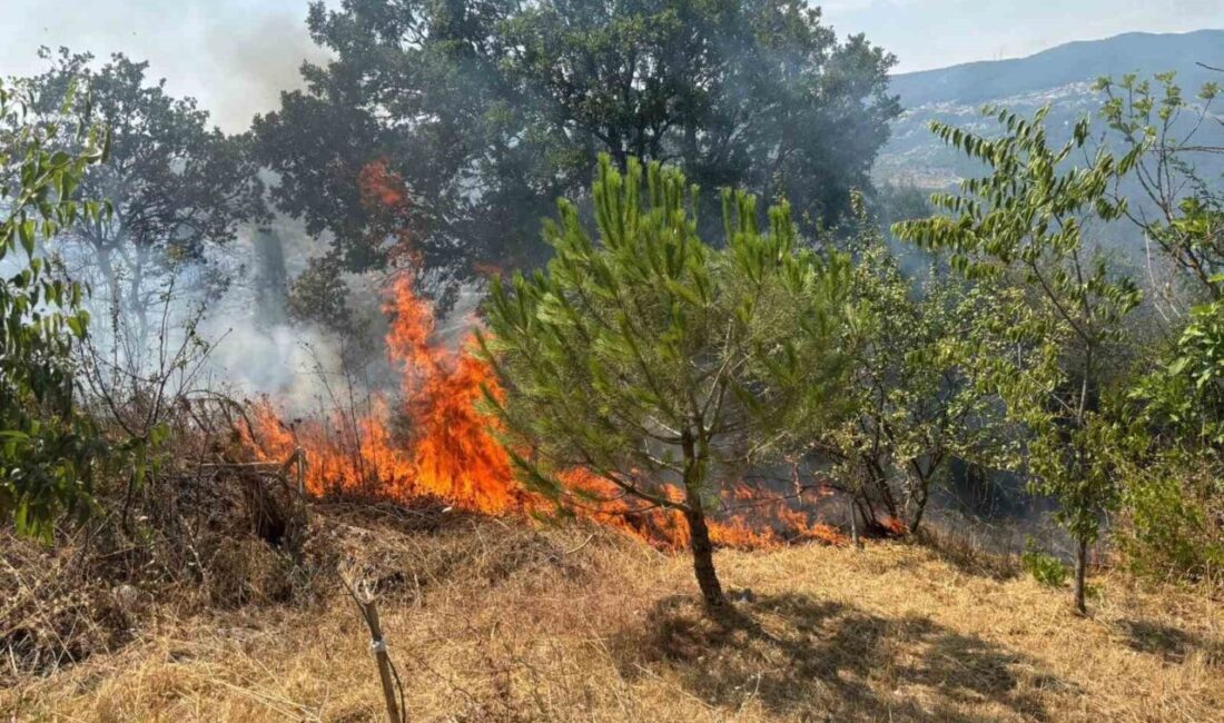 Sakarya’nın Geyve ilçesinde makilik alanda çıkan yangın, ekiplerin hızlı müdahalesiyle