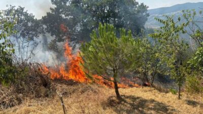 Sakarya’nın Geyve ilçesinde makilik alanda çıkan yangın, ekiplerin hızlı müdahalesiyle