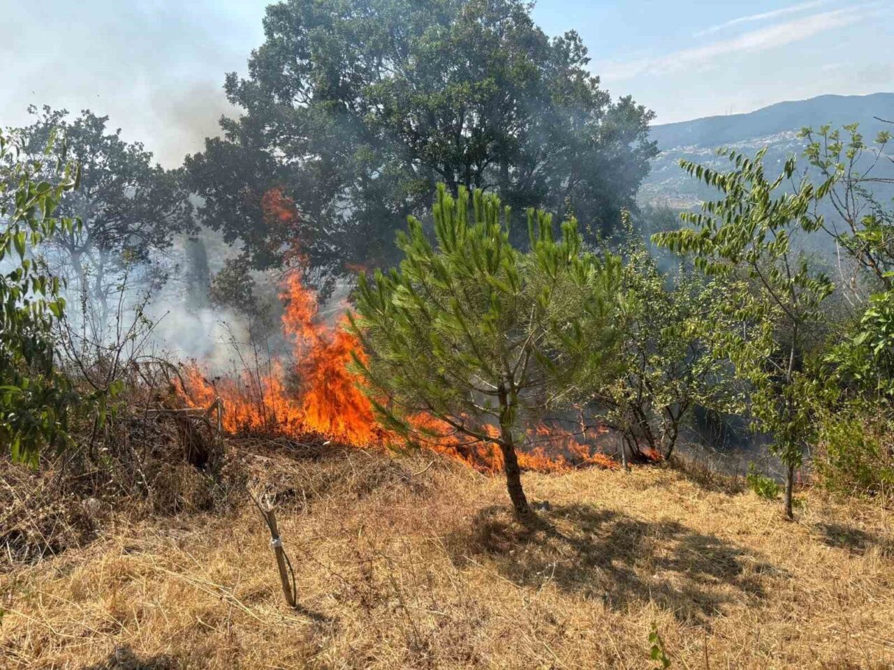 Sakarya’nın Geyve ilçesinde makilik alanda çıkan yangın, ekiplerin hızlı müdahalesiyle