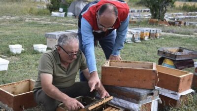 Bayburt İl Tarım ve Orman Müdürü Ebubekir Köse, Masat köyünde