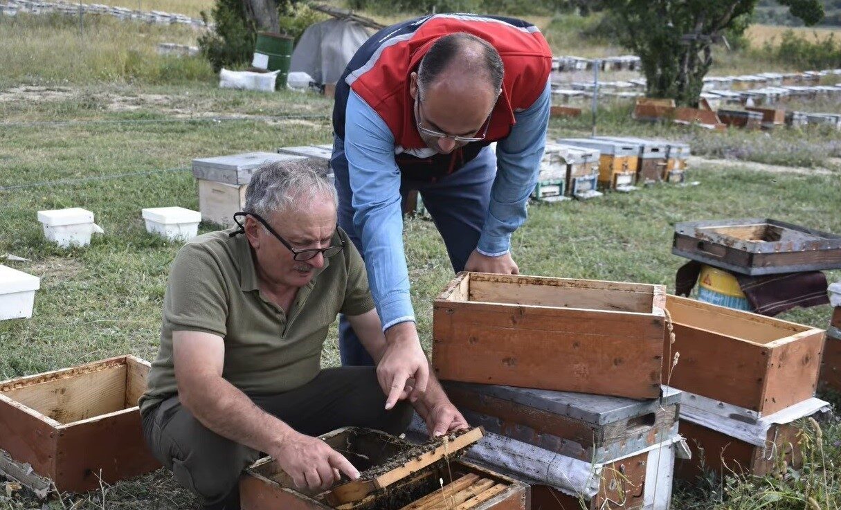 Bayburt İl Tarım ve Orman Müdürü Ebubekir Köse, Masat köyünde