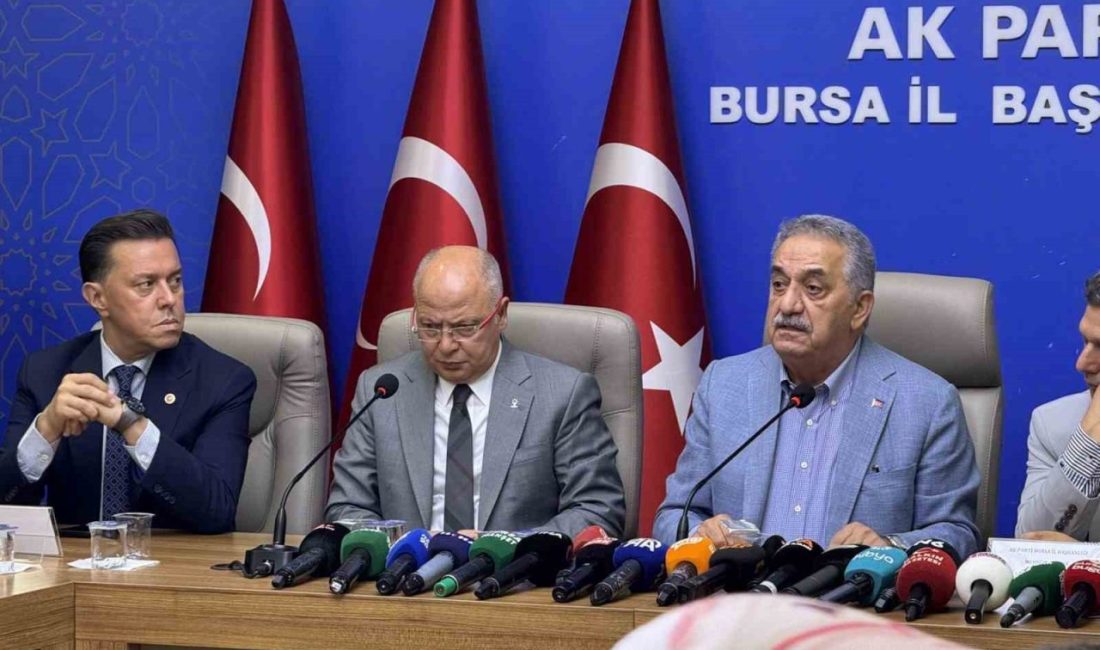 AK Parti Eskişehir Milletvekili Nebi Hatipoğlu, AK Parti Bursa İl