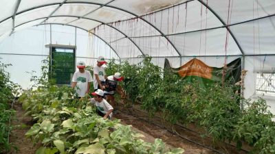 Erzincan’da Demirkent TOKİ Ortaokulu öğrencileri okul bahçesinde oluşturulan serada sebze