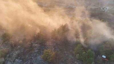 Ordu’nun Mesudiye ilçesinde ormanlık alanda çıkan yangın, ekiplerin yaptığı çalışmalar