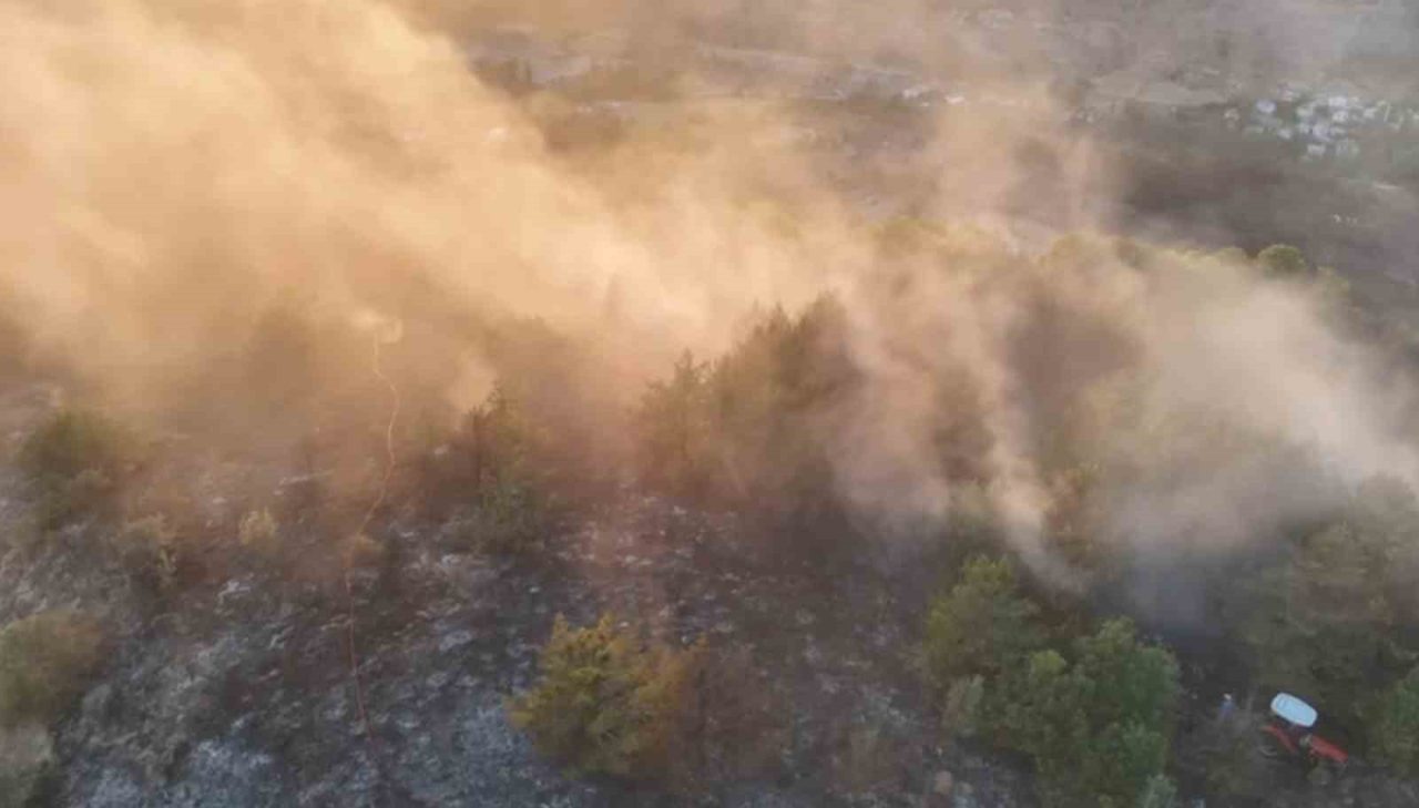 Ordu’nun Mesudiye ilçesinde ormanlık alanda çıkan yangın, ekiplerin yaptığı çalışmalar