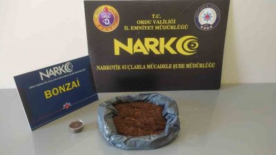 Ordu’da düzenlenen uyuşturucu operasyonlarında 2 şüpheli tutuklandı, 1 şüpheli adli