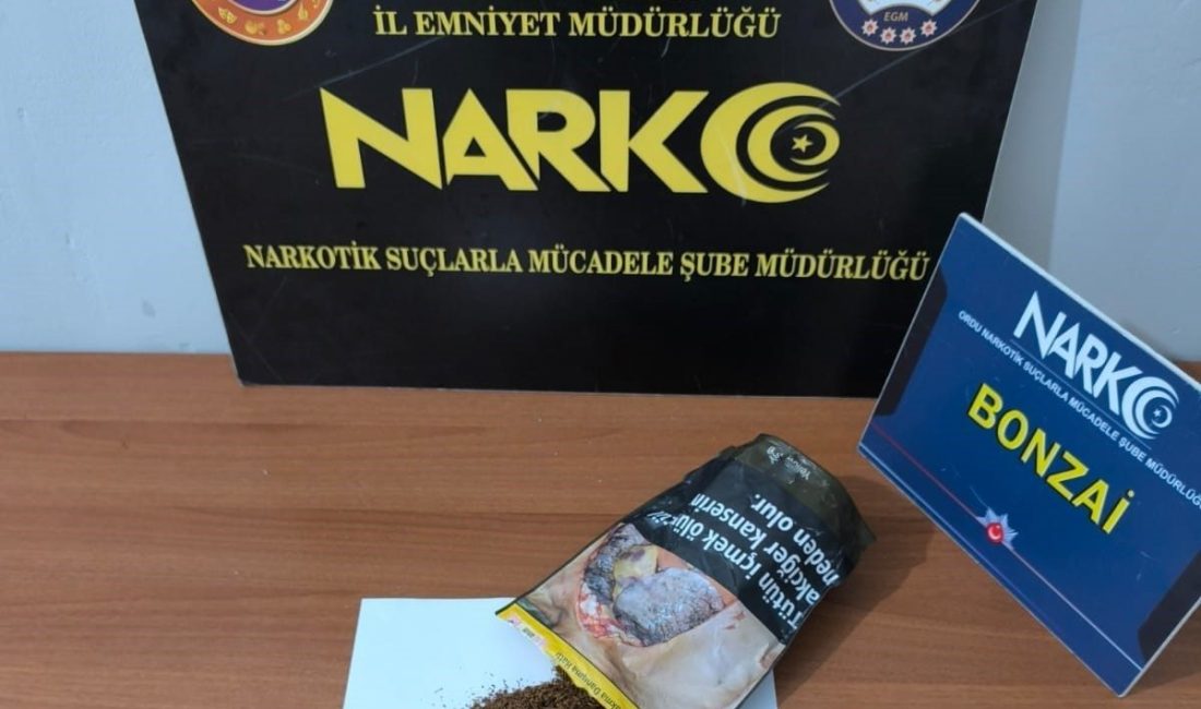 Ordu’da düzenlenen uyuşturucu operasyonlarında 2 şüpheli tutuklandı, 12 şüpheli hakkında