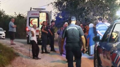 Ordu’nun Ünye ilçesinde virajı alamayan “patpat” olarak bilinen tarım aracının