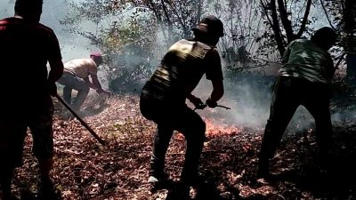 Ordu’nun İkizce ile Çaybaşı ilçelerinde çıkan fındık ve ormanlık alan