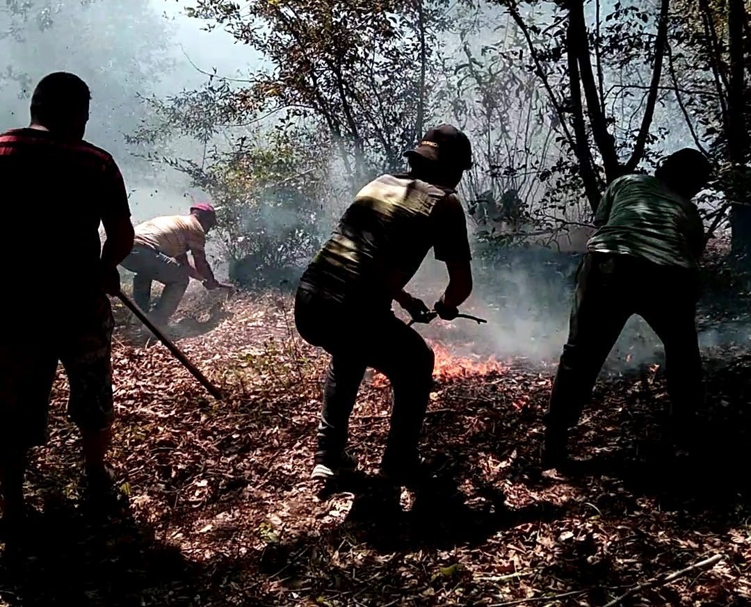 Ordu’nun İkizce ile Çaybaşı ilçelerinde çıkan fındık ve ormanlık alan