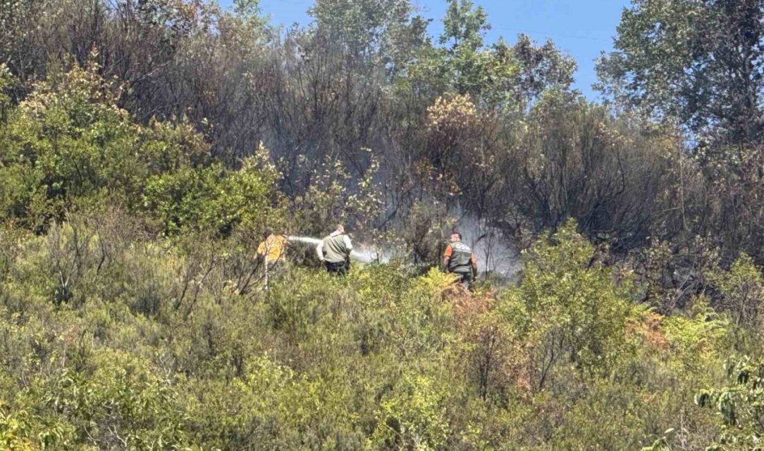ZONGULDAK (İHA) – Zonguldak’ın Kardeşler köyünde ormanlık alanda çıkan yangın,