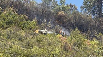 ZONGULDAK (İHA) – Zonguldak’ın Kardeşler köyünde ormanlık alanda çıkan yangın,