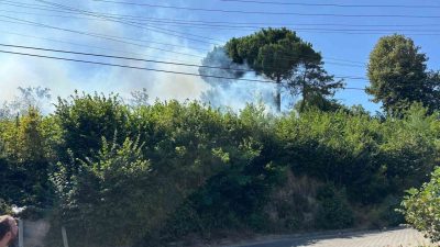 Zonguldak’ta Terakki Mahallesinde çıkan orman yangını ekipleri harekete geçirdi. Edinilen