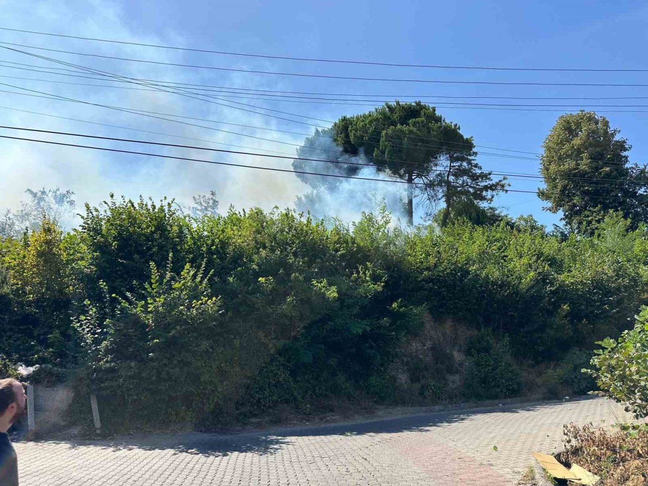 Zonguldak’ta Terakki Mahallesinde çıkan orman yangını ekipleri harekete geçirdi. Edinilen