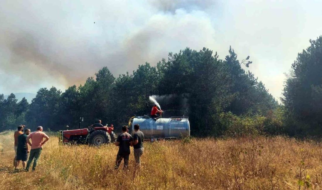 Sakarya’nın Akyazı ilçesinde ormanlık alanda çıkan yangın için bölgeye çok