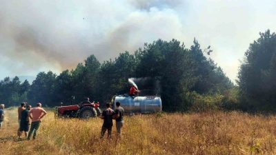 Sakarya’nın Akyazı ilçesinde ormanlık alanda çıkan yangın için bölgeye çok