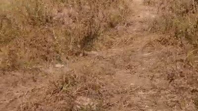 Erzurum’un Narman ilçesinde meydana gelen trafik kazasında 1 kişi yaralandı.