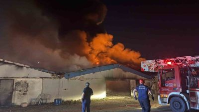 Sakarya’nın Geyve ilçesindeki bir boya fabrikasında yangın çıktı. Edinilen bilgiye