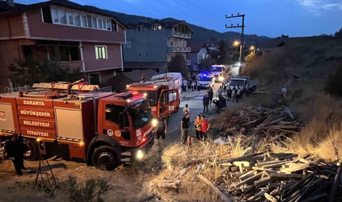 Sakarya’nın Taraklı ilçesinde dün akşam saatlerinde elektrik direğinde yaşanan patlama