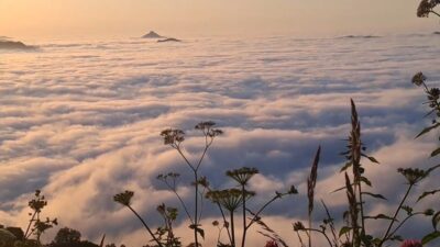 Doğu Karadeniz’de nadir olarak yüksek zirvelerde görülen ’bulut denizi’ seyrine