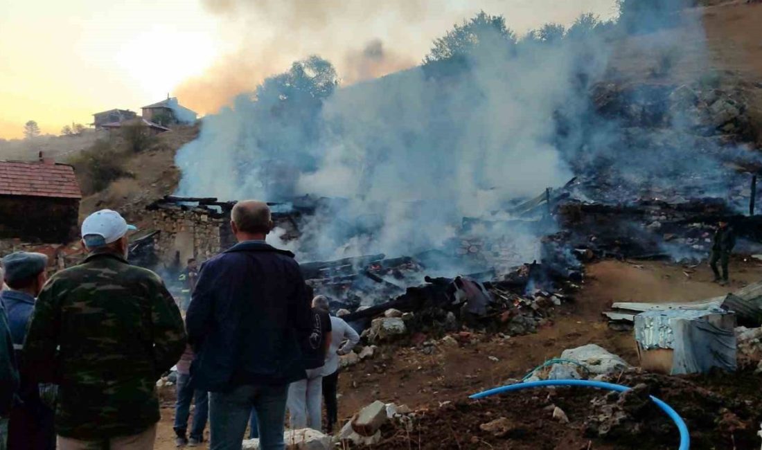 Sinop’ta çıkan yangında 2 ev, 2 ahır, 1 samanlık yandı,