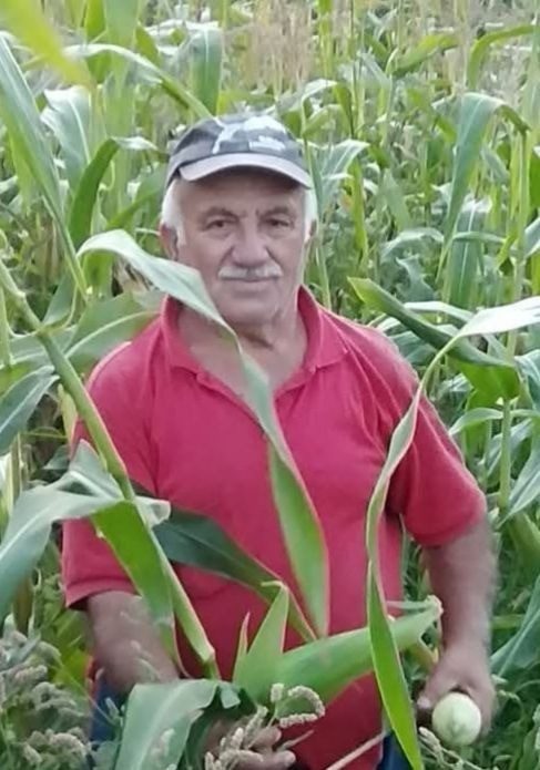Sinop’un Ayancık ilçesinde meydana gelen traktör kazasında sürücü hayatını kaybetti.