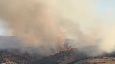 Sivas’ın İmranlı ilçesinde çıkan örtü yangını, rüzgarın etkisiyle ağaçlık alana