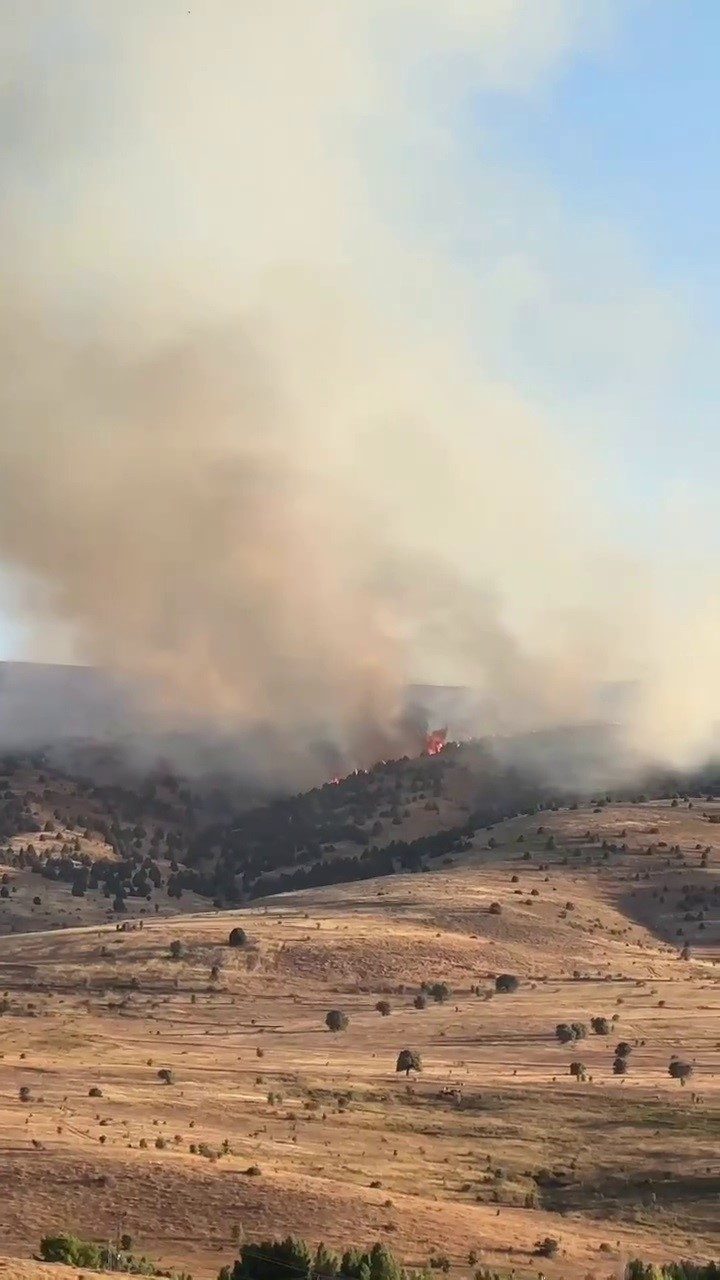 Sivas’ın İmranlı ilçesinde çıkan örtü yangını, rüzgarın etkisiyle ağaçlık alana