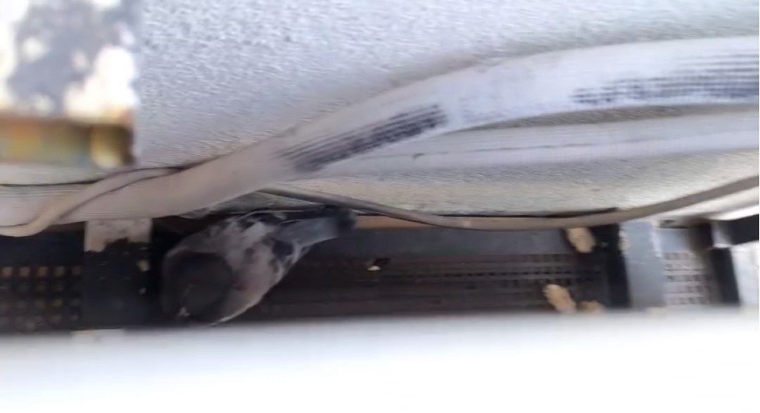 Sivas’ta bir apartmanın dış cephesindeki klima havalandırmasına sıkışan güvercin, itfaiye