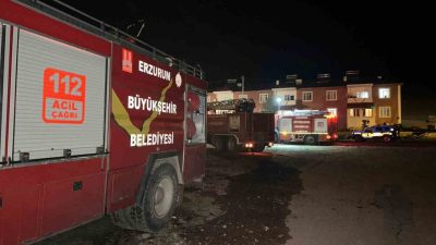 Erzurum’un Tekman ilçesinde çıkan yangın korku dolu anlar yaşattı. Edinilen