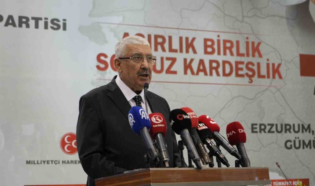 Milliyetçi Hareket Partisi Genel Başkan Yardımcısı Prof. Dr. Semih Yalçın,