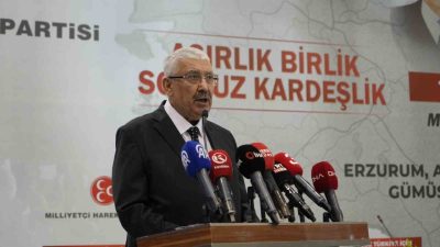 Milliyetçi Hareket Partisi Genel Başkan Yardımcısı Prof. Dr. Semih Yalçın,