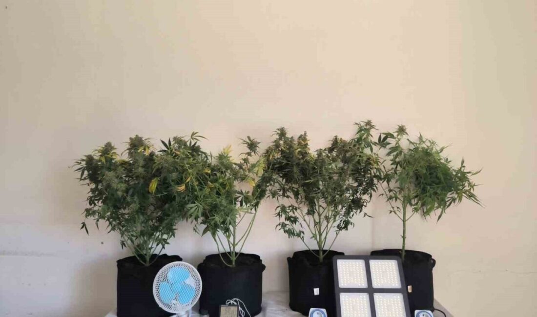 Tunceli’de jandarma ekiplerince temmuz ayında gerçekleştirilen operasyonlarda 2 iklimlendirme düzeneği