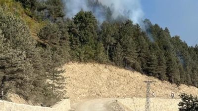 Sinop’un Türkeli ilçesinde ormanlık alanda örtü yangını şeklinde yangın çıktı.