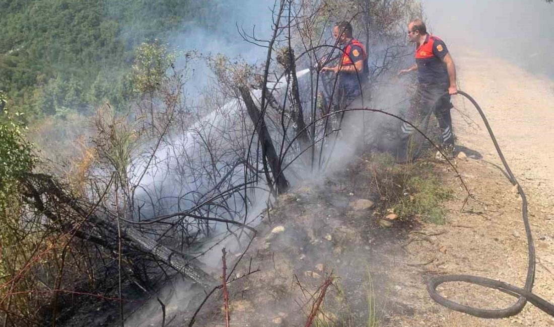 Sinop’un Türkeli ilçesine bağlı Akçabük köyü sınırlarında ormanlık bölgede yangın