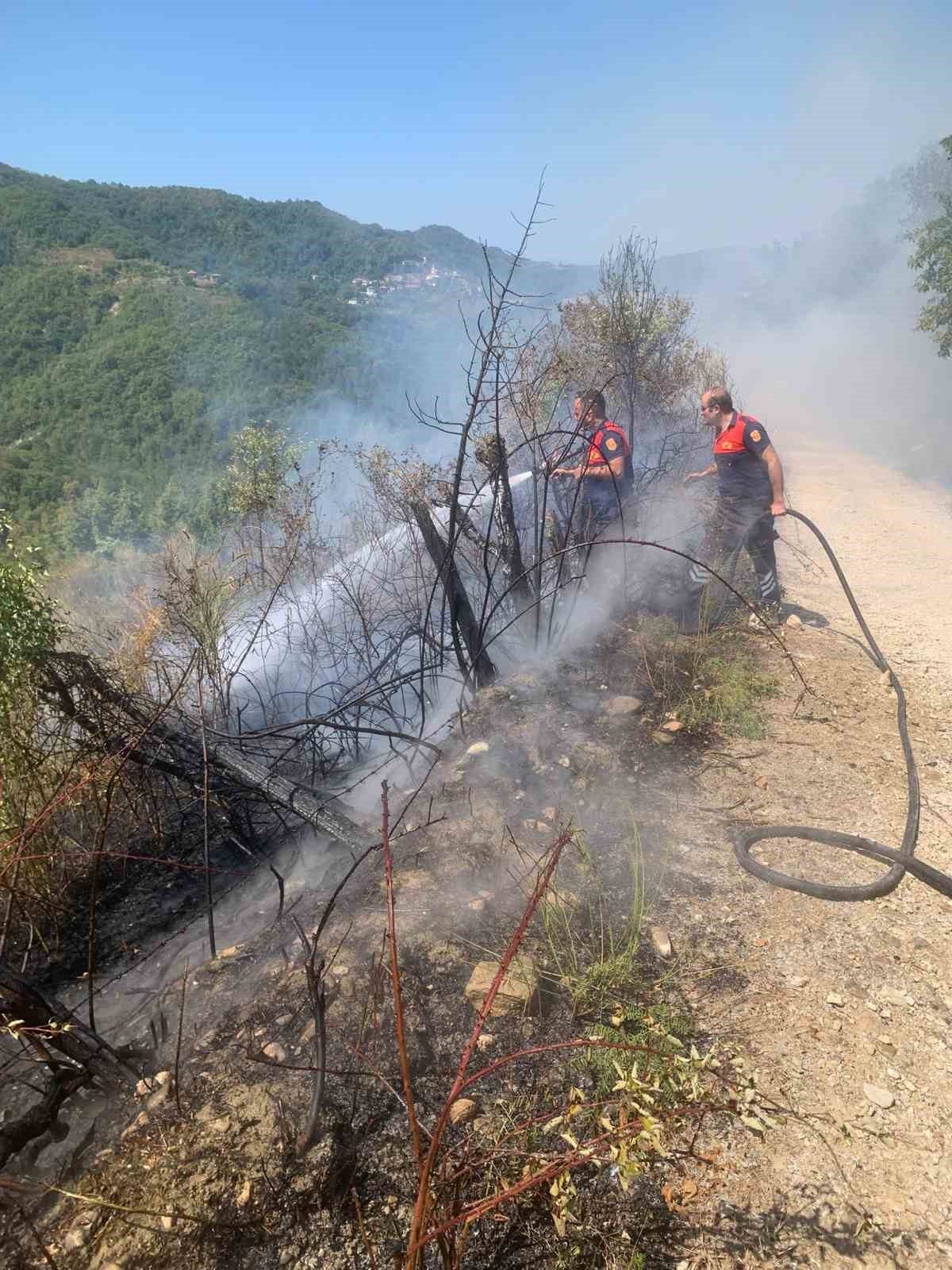 Sinop’un Türkeli ilçesine bağlı Akçabük köyü sınırlarında ormanlık bölgede yangın