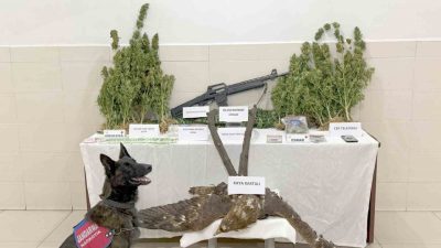 Tunceli’de uyuşturucu ticareti ve kaçak avcılık yapan şahıs tutuklanarak cezaevine