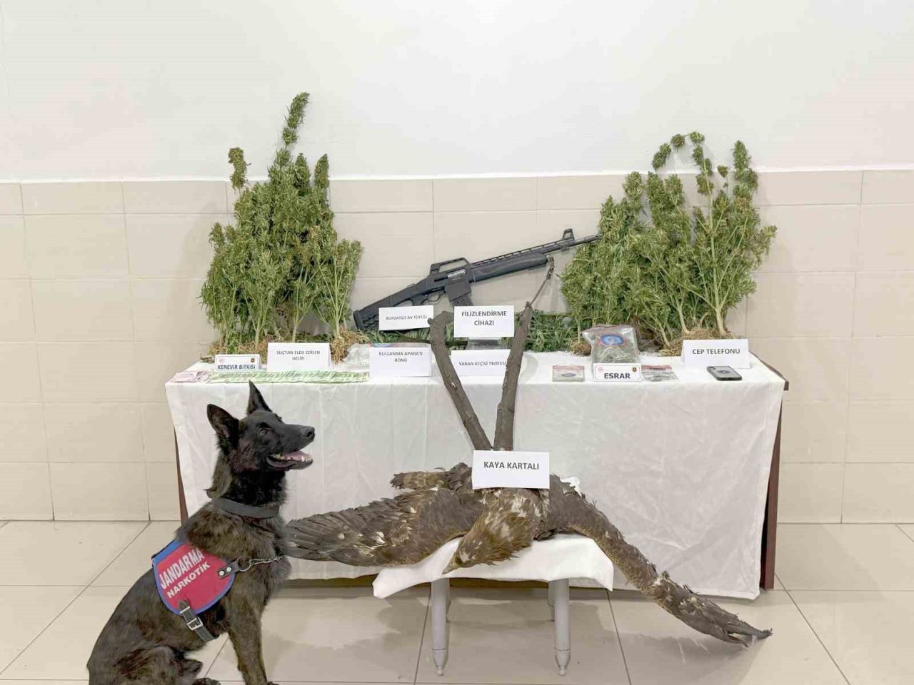 Tunceli’de uyuşturucu ticareti ve kaçak avcılık yapan şahıs tutuklanarak cezaevine